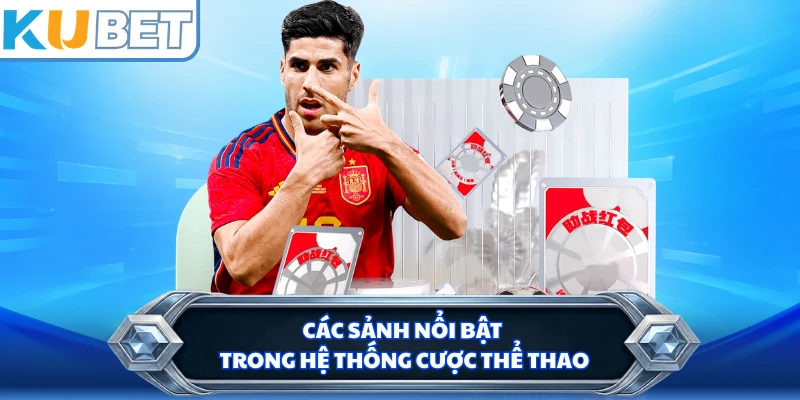 Các sảnh nổi bật trong hệ thống cược thể thao 